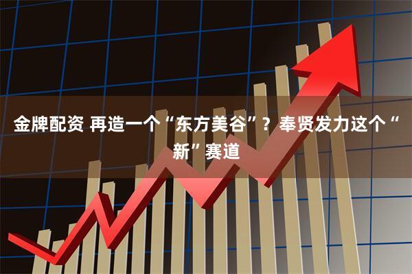金牌配资 再造一个“东方美谷”？奉贤发力这个“新”赛道